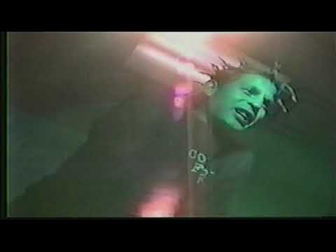 Clarknova - Bed Bugs