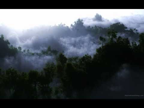 Collapsis - October