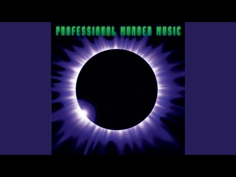 Professional Murder Music - Does It Dream