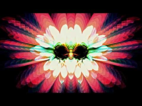 Brendan Benson - A Whole Lot Better