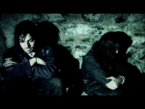 Shamans Harvest - Dragonfly