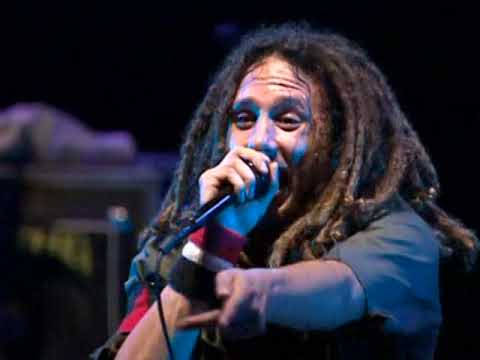 Rage Against The Machine - How Could I Just Kill A Man