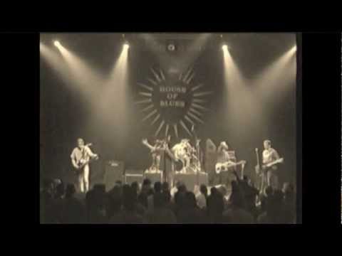 Virgin Wool - Better For You