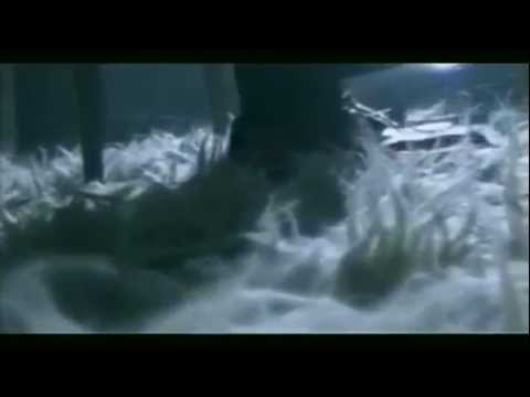 Mathew Jay - Let Your Shoulder Fall