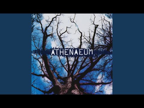 Athenaeum - Comfort