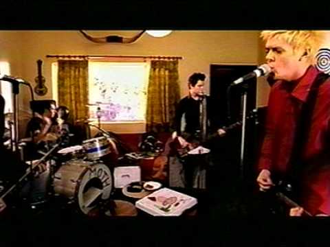 Moth - I See Sound