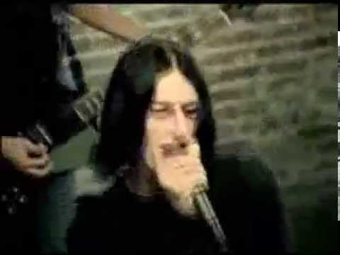 Ours - Leaves