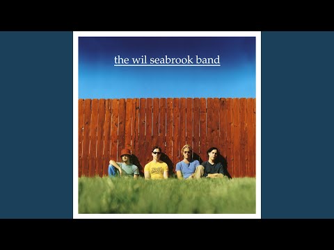 The Wil Seabrook Band - Its Your Life