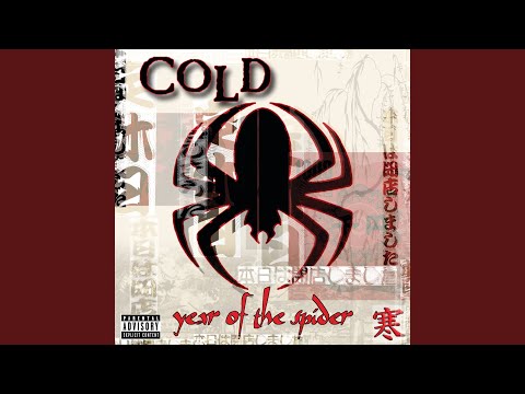 Cold - Wasted Years