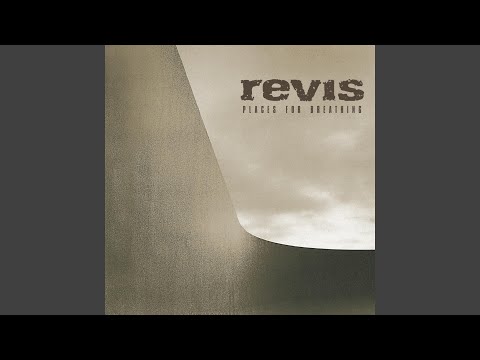 Revis - Spin