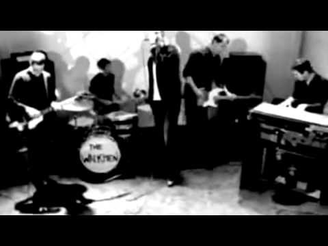 The Walkmen - The Rat