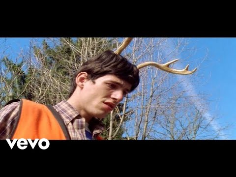 Fall Out Boy - Sugar Were Going Down