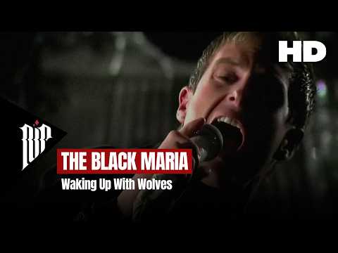 The Black Maria - Waking Up With Wolves