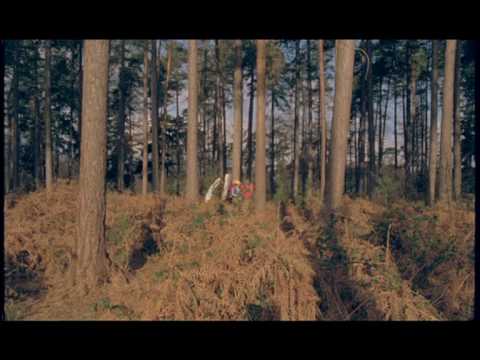 The Automatic Automatic - Monster
