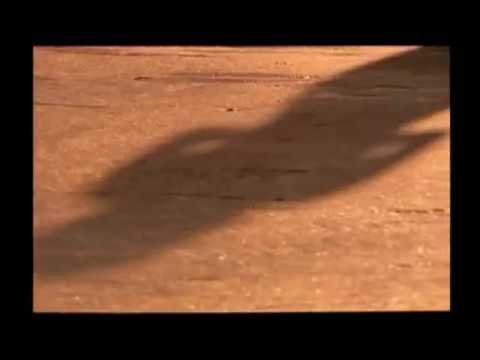 Billy Clyro - Saturday Superhouse